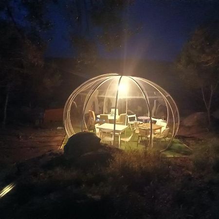 Eucaliptus Farm Retreat Vendégház Santa Teresa Gallura Kültér fotó