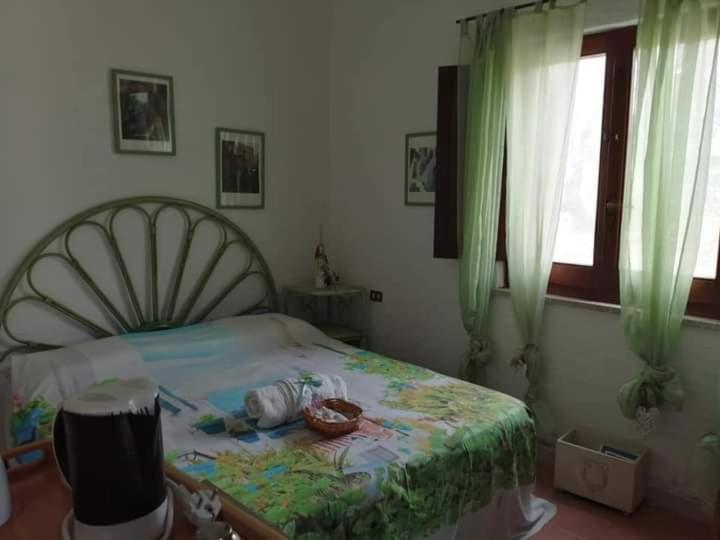 Eucaliptus Farm Retreat Vendégház Santa Teresa Gallura Kültér fotó