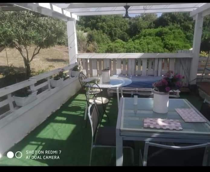 Eucaliptus Farm Retreat Vendégház Santa Teresa Gallura Kültér fotó