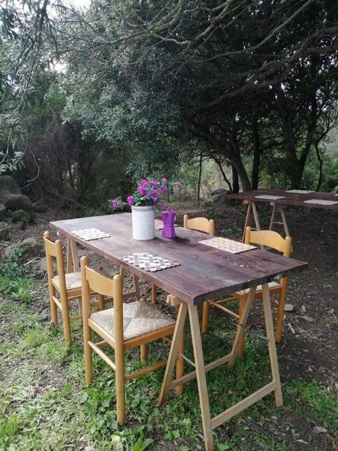 Eucaliptus Farm Retreat Vendégház Santa Teresa Gallura Kültér fotó