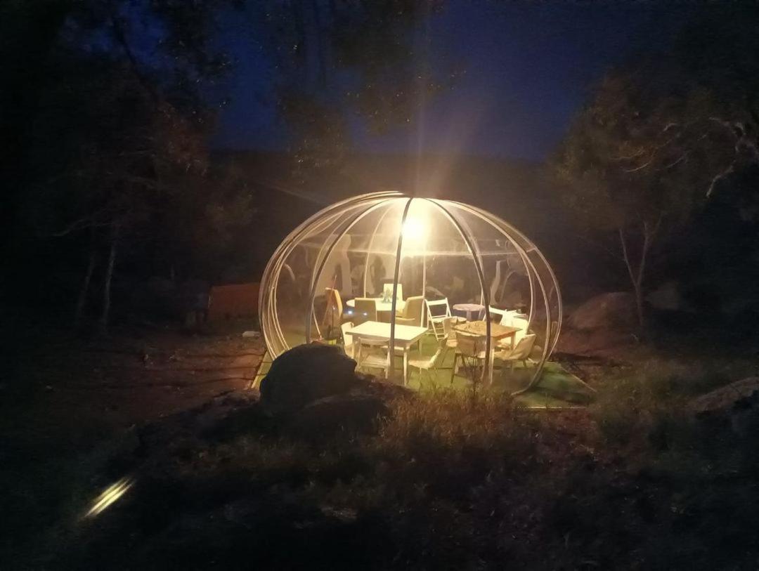 Eucaliptus Farm Retreat Vendégház Santa Teresa Gallura Kültér fotó
