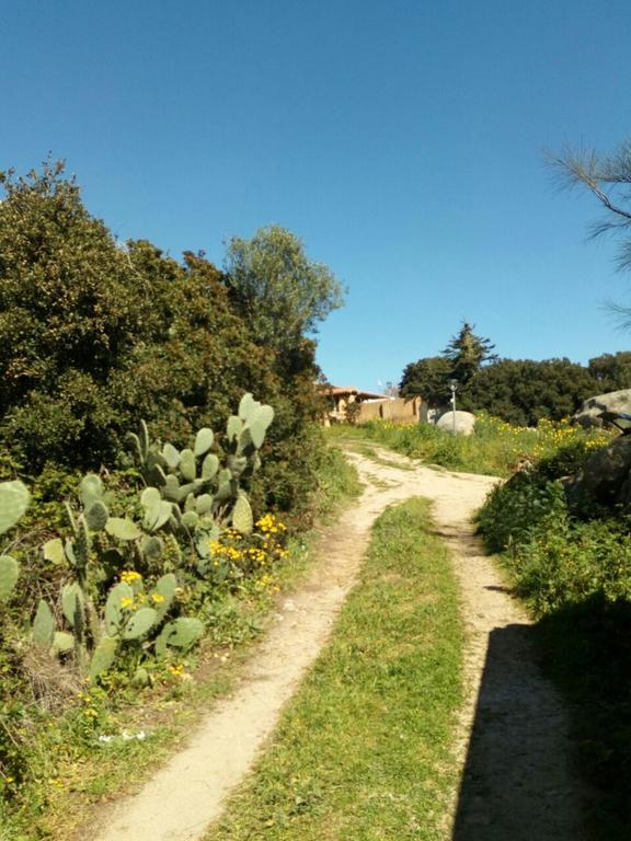 Eucaliptus Farm Retreat Vendégház Santa Teresa Gallura Kültér fotó