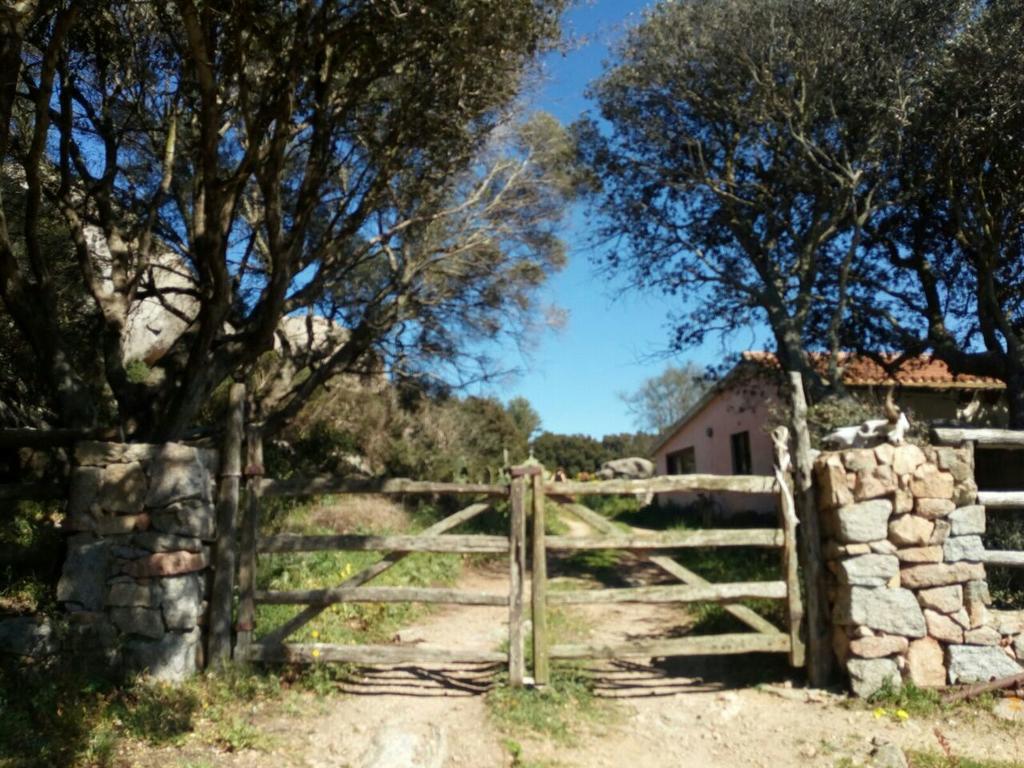 Eucaliptus Farm Retreat Vendégház Santa Teresa Gallura Kültér fotó