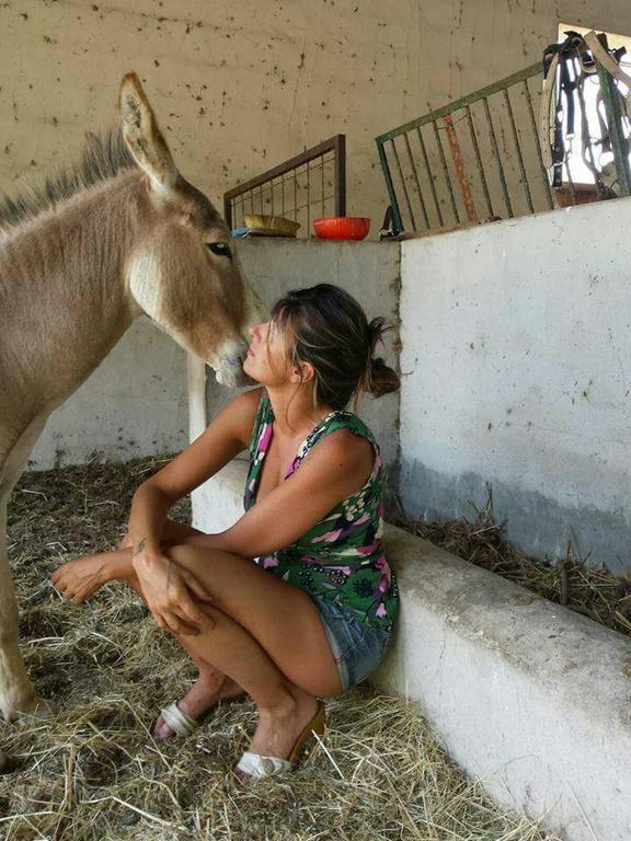 Eucaliptus Farm Retreat Vendégház Santa Teresa Gallura Kültér fotó