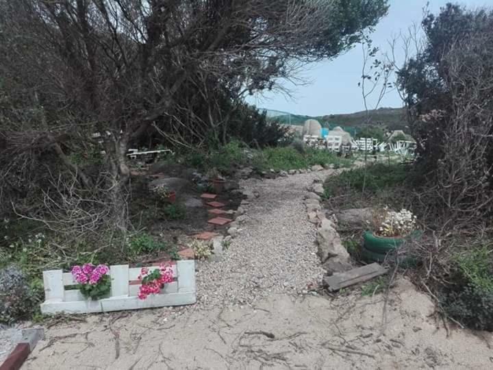 Eucaliptus Farm Retreat Vendégház Santa Teresa Gallura Kültér fotó