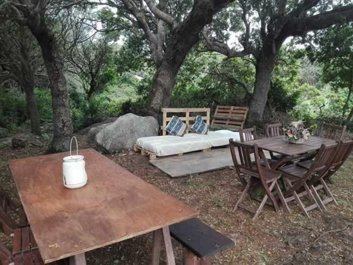 Eucaliptus Farm Retreat Vendégház Santa Teresa Gallura Kültér fotó